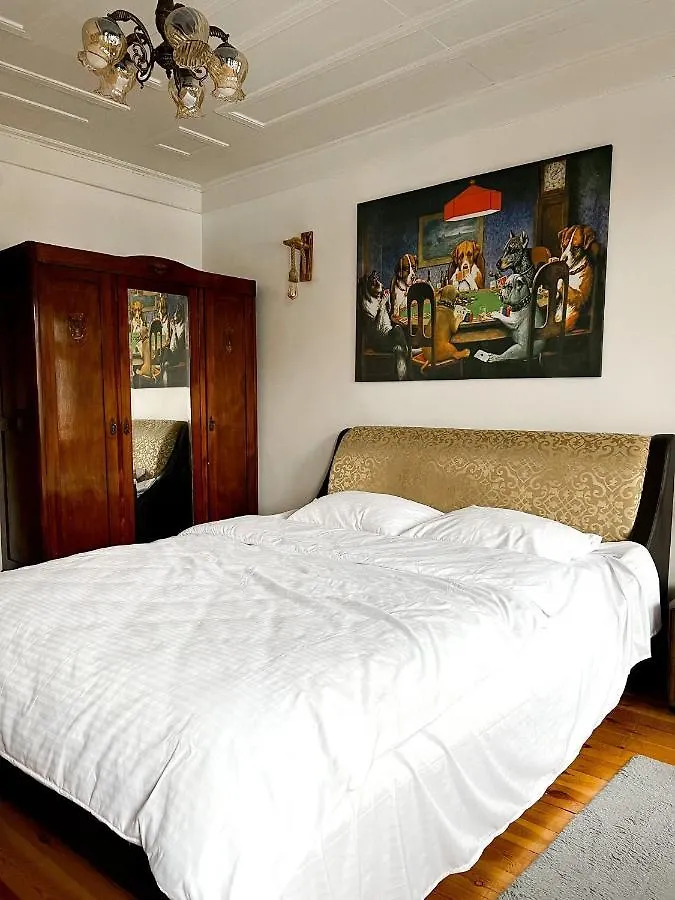 Guest House 伊斯坦布尔 0*,