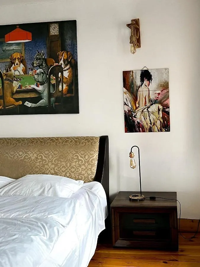 Guest House Istanbul Turcia